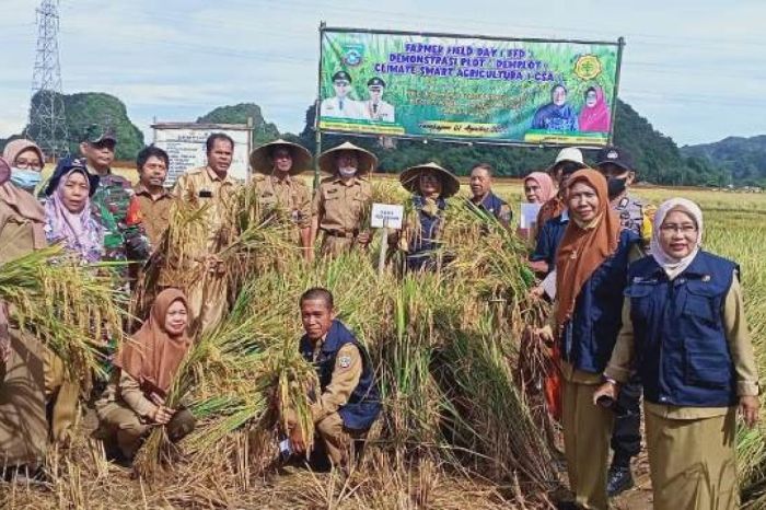 Politeknik Pertanian Negeri Pangkep (Politani Pangkep)